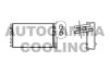 AUTOGAMMA 105655 Heat Exchanger, interior heating